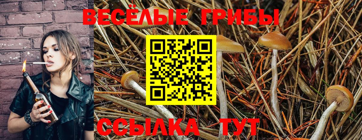 Галлюциногенные грибы GOLDEN TEACHER  Галлюциногенные грибы прущие грибы  Вход с VPN  Реутов 